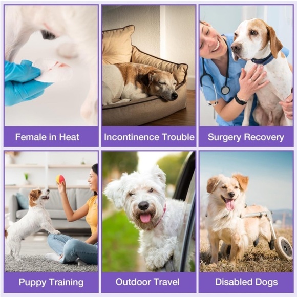 Premium Washable Two Tone Ruffles & Bow Female Dog Diapers 2 Pack Size: Med. New - Picture 6 of 16